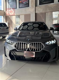 بی ئێم دەبڵیو X6